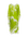 Lime/White